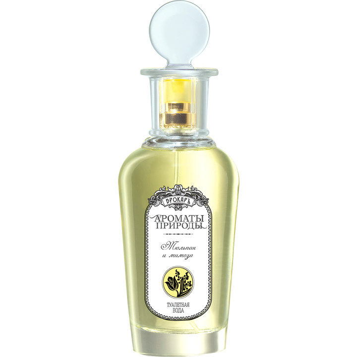 Aromaty prirody - Tyul'pan i mimoza